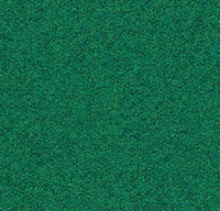 Tessera Chroma 3620 evergreen