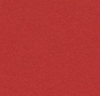Bulletin Board 2210 hot salsa