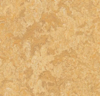 Marmoleum Real 3173 Van Gogh