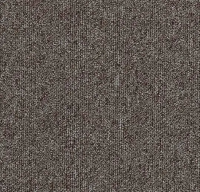 Tessera Basis Pro 4364 brown