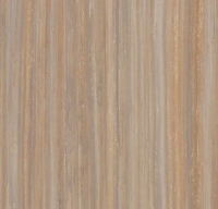 Marmoleum Modular t5225 compressed time