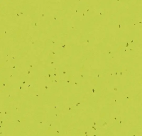 Sphera Energetic 50214 lime