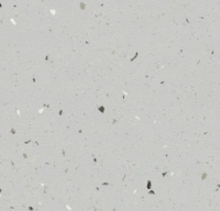 Surestep Star 176422 trout